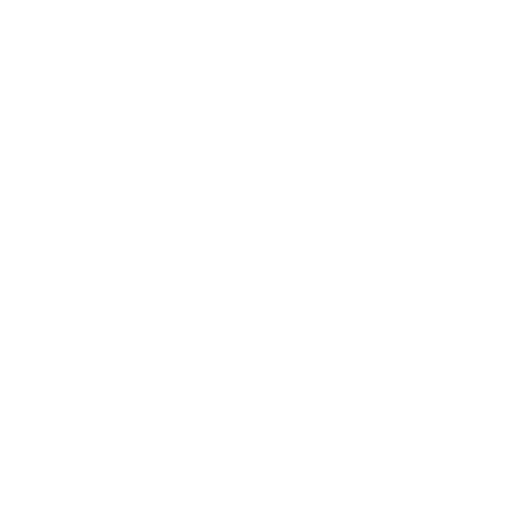 Brave group