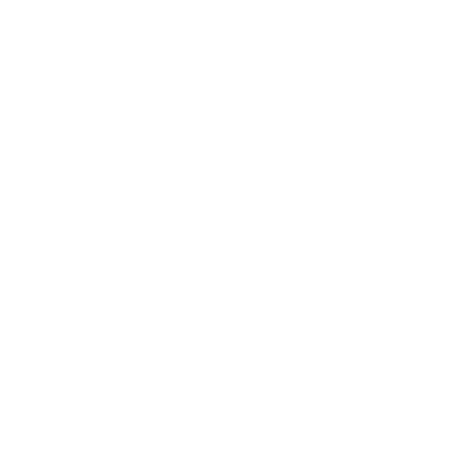 Dison